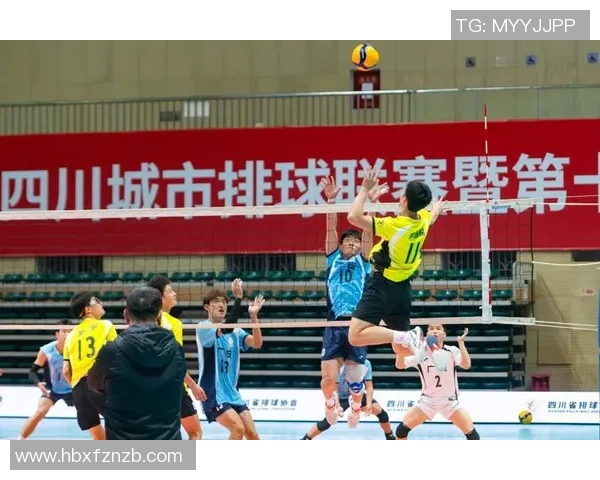 成都排球队荣登全国排球比赛经验排行榜第三名的背后故事与启示